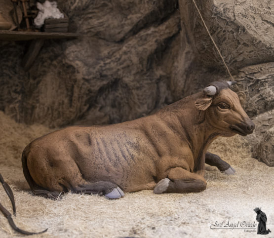 Figuras de Belén de Resina, Animales Mula 91T