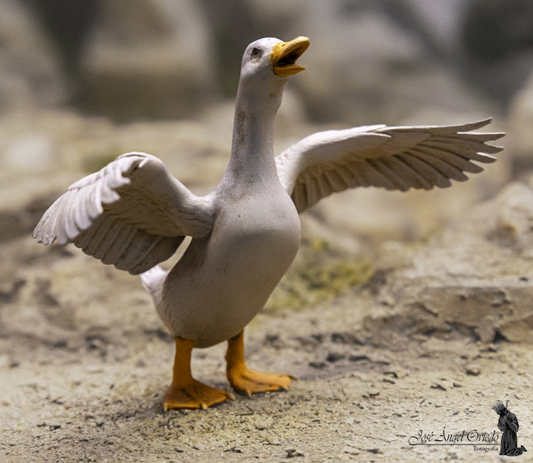 Figuras de Belén - 94 Pato (Varios Modelos) - Imagen 5