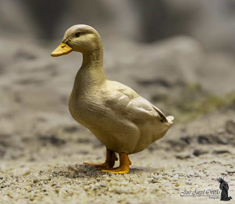 Figuras de Belén - 94 Pato (Varios Modelos) - Imagen 6