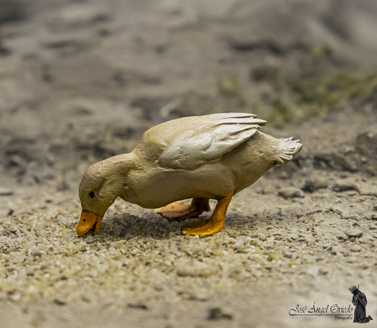 Figuras de Belén - 94 Pato (Varios Modelos) - Imagen 7