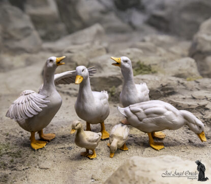 Figuras de Belén - 94 Pato (Varios Modelos)