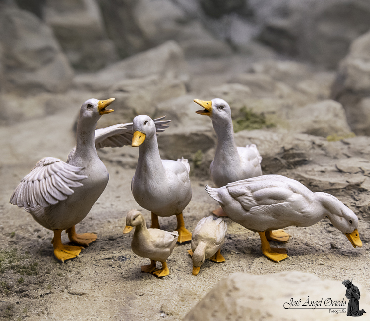 Figuras de Belén - 94 Pato (Varios Modelos)