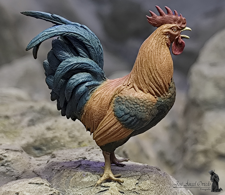 Figuras de Belén - 93 Gallina (Varios Modelos)