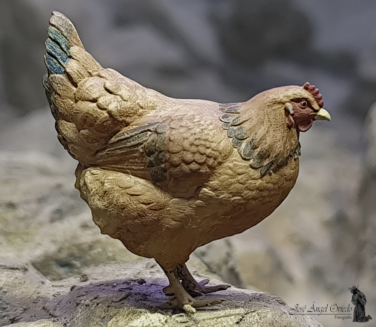 Figuras de Belén - 93 Gallina (Varios Modelos) - Imagen 3