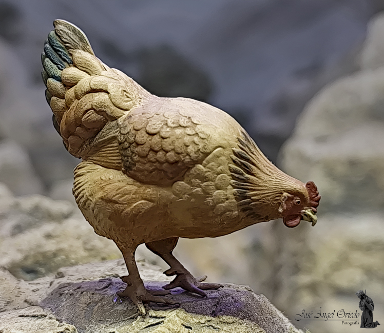 Figuras de Belén - 93 Gallina (Varios Modelos) - Imagen 4
