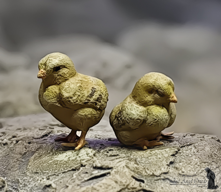 Figuras de Belén - 93 Gallina (Varios Modelos) - Imagen 6